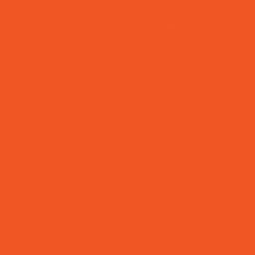 Jillson Roberts Gift Wrapping Paper, Matte Orange (8 Rolls 5ft x 30in) by JILLSONROBERTS