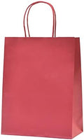 Nexmint Poinsetta Red Christmas Gift Bag Medium 8"x10.5": 120 Pack Bulk Medium Karft Paper Bags with Handle. Great for Holidays,Gifts,Party Favors,Treats,Goodies,Candies,Shopping,Business,Retail by Nexmint-GiftBagsMore