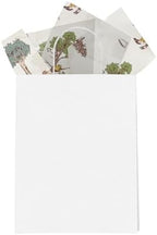24 Pooh Bear Print and 24 Peter Rabbit Printed Tissue Paper - Tissue Paper for Gift Bags, Boxes, Wrapping, Packaging & More - Gift Wrapper - Decorative Papers - Arts & Crafts - 20" x 30" (48 Sheets) - Image 3