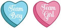 Valentine's Day Baby Gender Reveal Party/Team Boy or Team Girl Heart Stickers/Valentine's Day Stickers/Heart Shaped Gender Reveal Stickers/Gender Reveal Stickers (100 Stickers, 3 inch) by Handmade