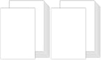 100 Sheets White Cardstock 11x17 110lb (Pack of 2) by Goefun