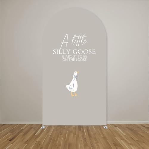 Arch Backdrop Cover for One Silly Goose Baby Shower Arch Stand Stretchy Cover First Goose Kids 1st Birthday Party Fiesta Decorations (6.6x3.3ft Cover,004) - Image 2