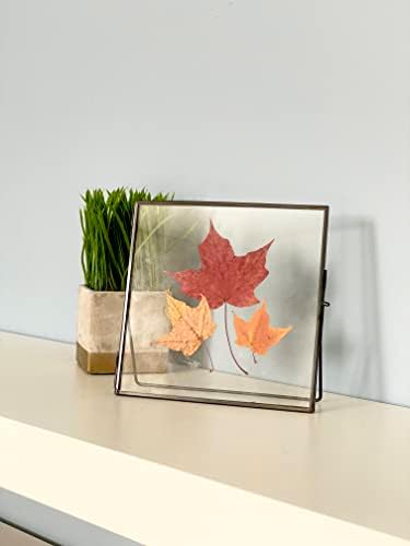 Beedecor Double Glass Frame for Pressed Flowers, Leaf and Artwork - Black 6x6 Standing Square Metal Picture Frames, Tabletop Clear Floating Pressed Glass Frame, Home Decor Photo Display, Set of 2 Pressed Flower Frames with Stand (Black, 6x6) - Image 6