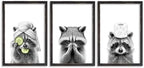 flowtorely Raccoon Bathroom Wall Art Decor Set of 3 16x11 Inch Black by flowtorely