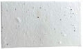 Of The Earth Handmade Paper - Wildflower Seed Paper Panel Card - Place/Name/Gift - 3.5" x 2" - Set of 48 (10s White Seed) by OfTheEarth