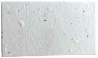 Of The Earth Handmade Paper - Wildflower Seed Paper Panel Card - Place/Name/Gift - 3.5" x 2" - Set of 48 (10s White Seed) by OfTheEarth