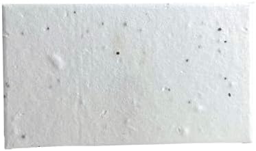 Of The Earth Handmade Paper - Wildflower Seed Paper Panel Card - Place/Name/Gift - 3.5" x 2" - Set of 48 (10s White Seed) by OfTheEarth