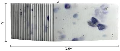 Of The Earth Handmade Paper - Wildflower Seed Paper Panel Card - Place/Name/Gift - 3.5" x 2" - Set of 48 (04s Blue Petal) - Image 4