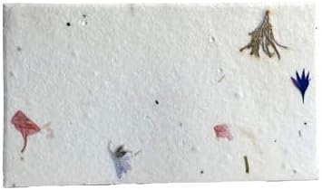 Of The Earth Handmade Paper - Wildflower Seed Paper Panel Card - Place/Name/Gift - 3.5" x 2" - Set of 48 (48s Blue & Pink) by OfTheEarth