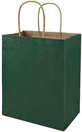 bagmad 100 Pack 8x4.75x10 Inch Medium Green Gift Paper Bags with Handles Bulk, Kraft Bags, Craft Grocery Shopping Retail Party Favors Wedding Business Sacks (Dark Green, 100pcs) by bagmad