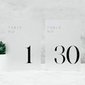 Frosted Wedding Table Numbers 1-30 with Stands by JINMURY