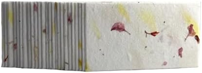 Of The Earth Handmade Paper - Wildflower Seed Paper Panel Card - Place/Name/Gift - 3.5" x 2" - Set of 48 (37s Pink & Safflower) - Image 2