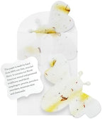 24 Favor Set, Yellow Bee Gift Wrap Tag w/Wildflower Seeds by SeedBloom