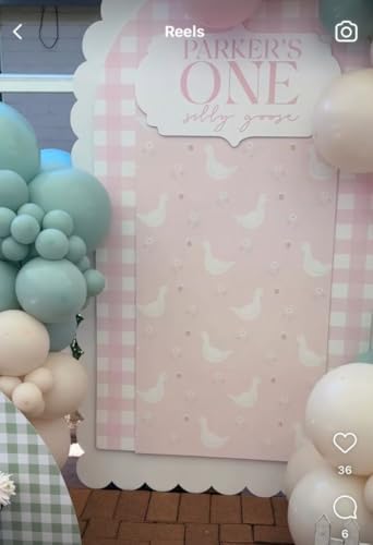 One Silly Goose Arch Backdrop Cover 6.6FT Pink Plaids Stretchy Arched Stand Cover for Baby Girls 1st Birthday Baby Shower Party Decoration - Image 6