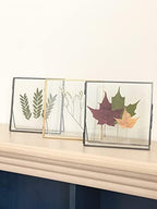 Beedecor Double Glass Frame for Pressed Flowers, Leaf and Artwork - Black 6x6 Standing Square Metal Picture Frames, Tabletop Clear Floating Pressed Glass Frame, Home Decor Photo Display, Set of 2 Pressed Flower Frames with Stand (Black, 6x6) - Image 2