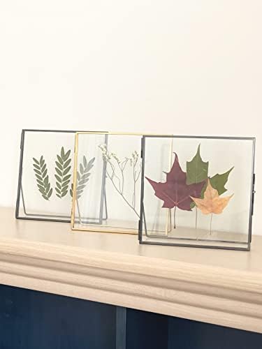 Beedecor Double Glass Frame for Pressed Flowers, Leaf and Artwork - Black 6x6 Standing Square Metal Picture Frames, Tabletop Clear Floating Pressed Glass Frame, Home Decor Photo Display, Set of 2 Pressed Flower Frames with Stand (Black, 6x6) - Image 2