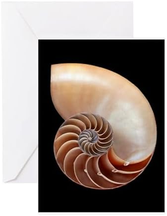 CafePress Nautilus Shell Greeting Cards Greeting Card (20-pack), Note Card with Blank Inside, Birthday Card Matte by CafePress