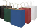 bagmad 100 Pack Multicolour Medium Gift Bags with Handles Bulk, 8x4.75x10 Inch White/Black/Green/Blue/Red Each 20pcs Kraft Birthday Party Favors Grocery Retail Shopping Craft Paper Bags (Multi Colored) by bagmad