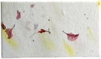 Of The Earth Handmade Paper - Wildflower Seed Paper Panel Card - Place/Name/Gift - 3.5" x 2" - Set of 48 (37s Pink & Safflower) by OfTheEarth