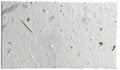 Wildflower Seed Paper Panel Card - Place/Name/Gift - 3.5" x 2" - Set of 48 (36s Fern & Chard) by OfTheEarth