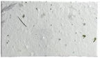 Wildflower Seed Paper Panel Card - Place/Name/Gift - 3.5" x 2" - Set of 48 (36s Fern & Chard) by OfTheEarth