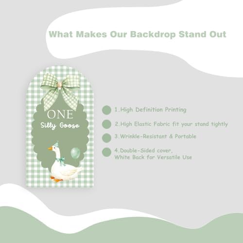 One Silly Goose Arch Backdrop Cover Sage Green 1st Birthday Party - Image 5