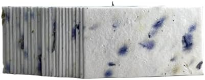 Of The Earth Handmade Paper - Wildflower Seed Paper Panel Card - Place/Name/Gift - 3.5" x 2" - Set of 48 (04s Blue Petal) - Image 2