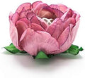 Handmade Paper Truffle Cups | Liners | Wrappers | Fominhas | Candy Cups | Forminhas de Brigadeiro - Pack of 30 (Paper, Peony Dusty Rose) by Truffilio