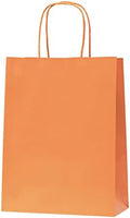 Nexmint Orange Gift Bag 8"x10.5": 120 Pack Bulk Medium Kraft Paper Bags with Handle. Great for Holiday Party, Autumn Festivities, Favors, Goodie, Candies, Shopping, Business, Retail by Nexmint-GiftBagsMore