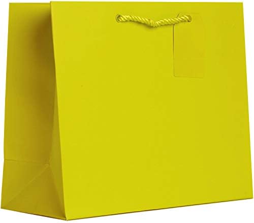 Jillson Roberts Solid Color Matte Gift Bag & Tissue Assortment, Gift Wrapping Supplies Multi-colored, Large-6 Count - Image 5