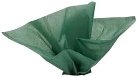 SSWBasics 20" x 30" Deep Green Tissue Paper by SSWBasics