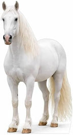 Life Size White Horse Cutout 4 ft Animal Themed Party Decoration for Birthday and Themed Party by Unknown