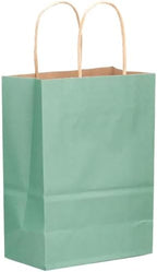 qiqee 100-Packs Light Blue Paper Gift Bags with Handles Bulk 8.26"×6"×3.15" Small Size Gift Bags Multiple Uses by Qiqee