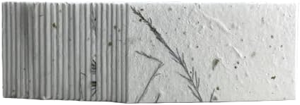 Wildflower Seed Paper Panel Card - Place/Name/Gift - 3.5" x 2" - Set of 48 (36s Fern & Chard) - Image 2