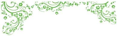 Lime Green Edge Wall Decal Swirl Flower Floral Design. #262A (100" X 29") #262A - Image 3