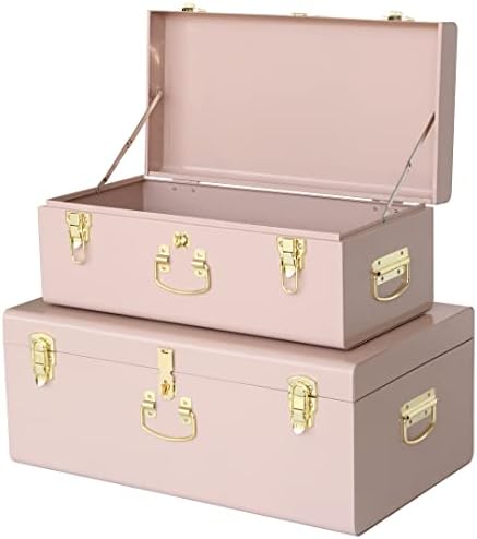 Vixdonos Decorative Metal Box Storage Trunks Set of 2 College Dorm Chest with Handle (Pink) by Vixdonos