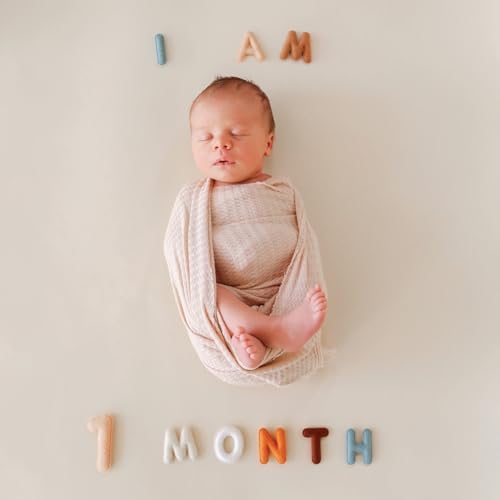 Baby Monthly Milestone Numbers – Signs & Photo Props – Soft Felt Letters & Numbers for Baby Announcement, Newborn Photography, Neutral - Image 2