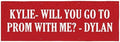 Let's Make Memories Personalized Banner for Any Occasion - Birthday Party, Retirement, Shower, Etc - Create Your Own Custom Banner - Party Decorations - Indoor/Outdoor Vinyl - Red - 8ft by LetsMakeMemories