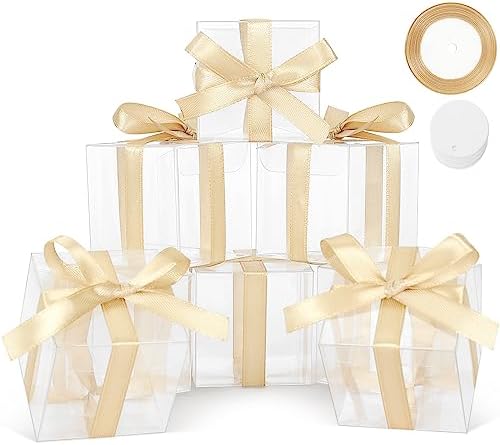 COTOPHER 60pcs Clear Macaron Boxes, 4"×4"×4" Clear Gift Box by COTOPHER