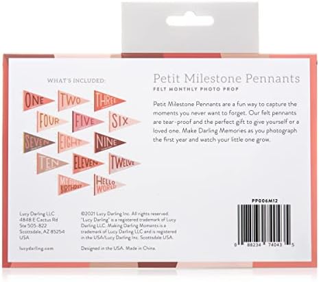Lucy Darling Petit Milestone Pennants – Baby Monthly Milestone Pennant Flags – Newborn Photo Props & Felt Nursery Decor – Keepsake Banner Set for Baby Photos - Blushing Meadow - Image 3
