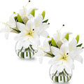 Zeyune 2 Pack White Lily Faux Flowers with Vase Silk Flowers in Vase by Zeyune