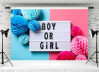 12x10ft Boy or Girl Backdrop Honeycomb Paper Balls Lightbox Pink Blue Background for Gender Reveal Party Baby Shower Decorations Banner Portrait Photo Studios Booth Props - Image 2