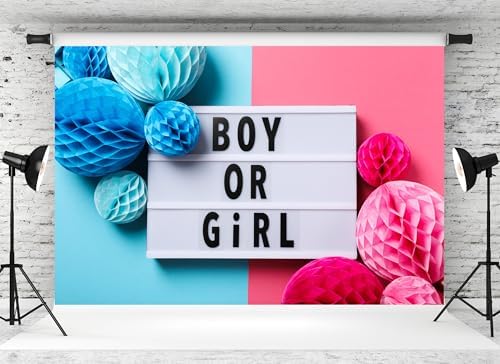 10x8ft Boy or Girl Backdrop Honeycomb Paper Balls Lightbox Pink Blue Background for Gender Reveal Party Baby Shower Decorations Banner Portrait Photo Studios Booth Props - Image 2