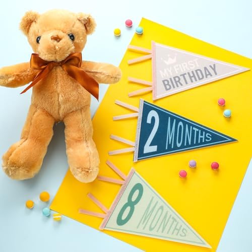 VitalCozy 14 Pcs Baby Milestone Pennant Signs Monthly Newborn Birthday - Image 2