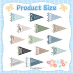 VitalCozy 14 Pcs Baby Milestone Pennant Signs Monthly Newborn Birthday - Image 5