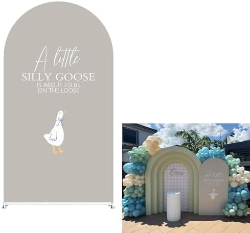 Arch Backdrop Cover for One Silly Goose Baby Shower Arch Stand Stretchy Cover First Goose Kids 1st Birthday Party Fiesta Decorations (6.6x3.3ft Cover,004) by ittsmnt