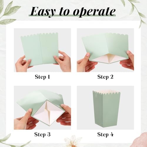 Baderke 201 Pcs Clear Wedding Popcorn Bags Treat Set, Gradient Sage Green - Image 3
