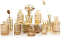 TBWIND Gold Amber Glass Bud Vases Set of 12, Small Vases for Flowers by TBWIND