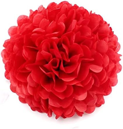 Red Chinese Lanterns Handmade Tissue Paper Pompoms Wedding Decorative Paper Flower Ball Baby Shower Birthday Party Decoration Paper pom poms Red Traditional Hanging Lantern ( Color : 04 , Size : 6inc by Unknown