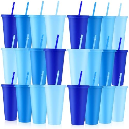 Skylety 24 Pcs Dusty Blue Plastic Cups with Lids and Straws 24 oz by Skylety